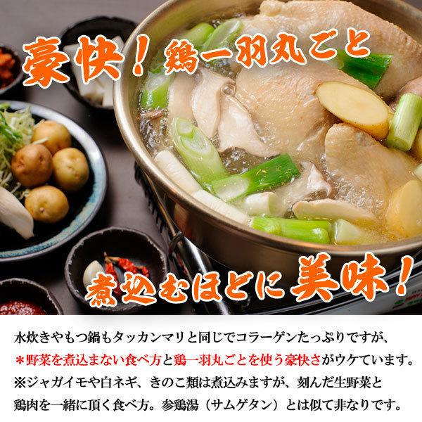 タッカンマリ 韓国 水炊き 鍋料理セット 2〜3人分 コラーゲンたっぷり 丸鶏半身 約1.1kg 下処理済み 九州産 なでしこ姫鶏 トッポギ 独楽