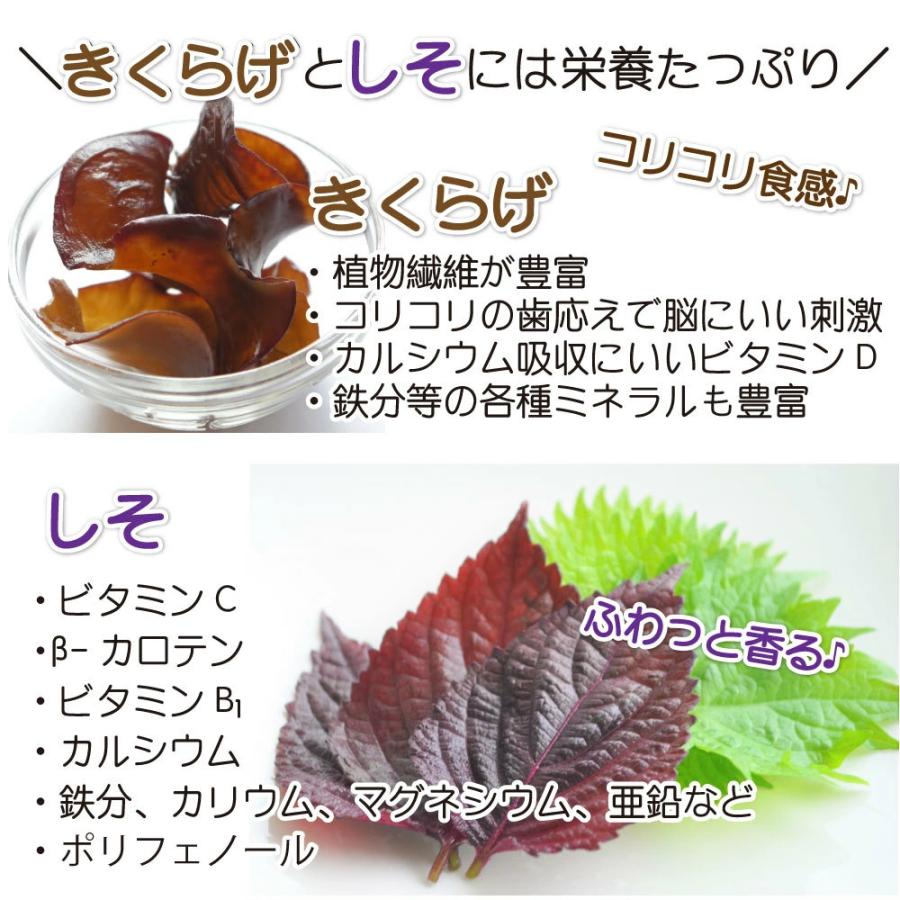 しそきくらげ 90g×3袋 270g ごはんのお供 おつまみ 佃煮 送料無料