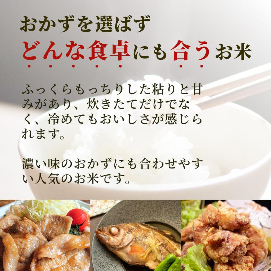  長野県産コシヒカリ 20kg 冷めても美味しいお米 農家直送 令和5年産 白米 お米 おこめ 精米 国産 20キロ（10kg×2袋）