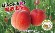 桃 約2kg 小俣果樹園 錦の桃 2024年発送 もも モモ フルーツ 果物 デザート 配送不可：離島