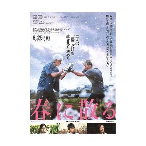 映画チラシ／ 春に散る　（横浜流星、佐藤浩市）