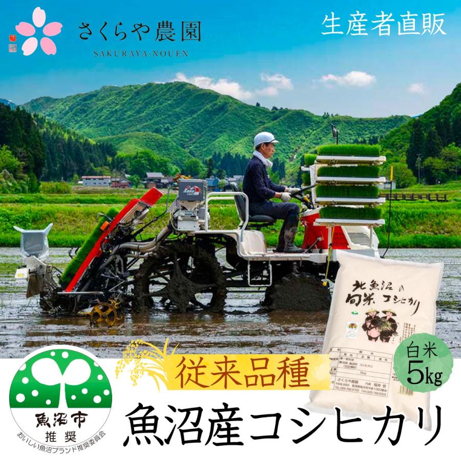 農家直売 魚沼産コシヒカリ 白米 ５kg 令和５年 魚沼市推奨ブランド米認定米