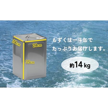 ふるさと納税 勝連産・太もずく（塩蔵タイプ）　約14kg一斗缶入り 沖縄県うるま市