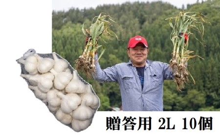 丸美農園 田子産贈答用にんにく（2L）10個