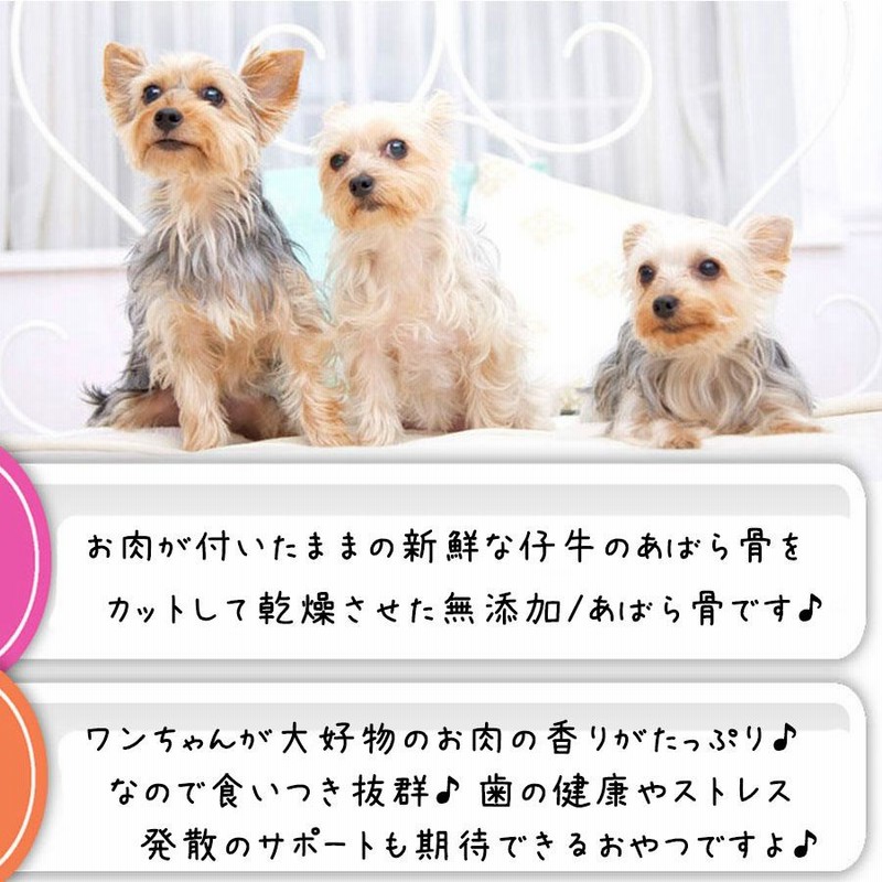 たいぬむなうし 恥ずかしく 