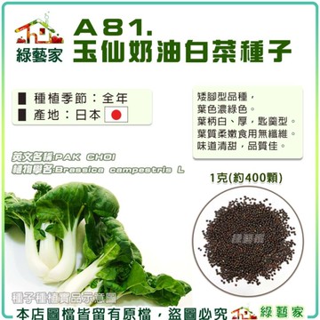 【綠藝家】A81.玉仙奶油白菜種子1克(約400顆)產地日本F1 全年可栽種 易栽種 白菜種子 小白菜 葉菜