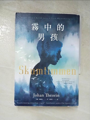 【書寶二手書T8／兒童文學_PC8】霧中的男孩_約翰．提歐林,  宋瑛堂