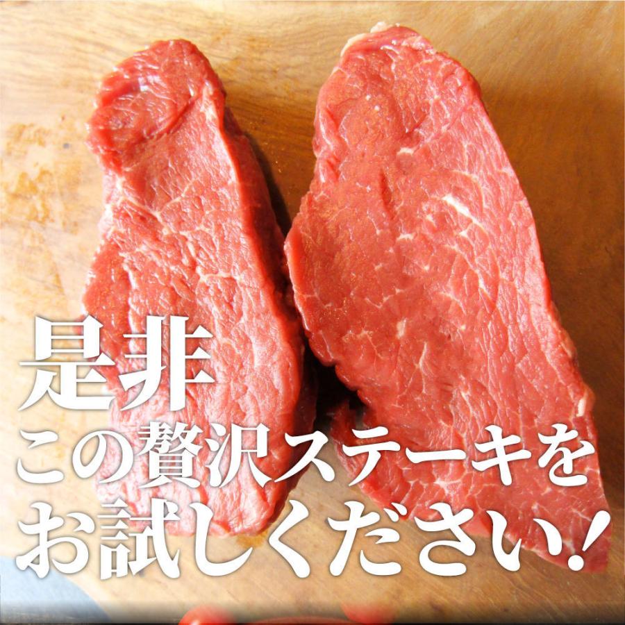 牛肉 ヒレ ステーキ 詰め合わせ 100g×10枚セット 赤身 バーベキュー グルメ お歳暮 ギフト 2021