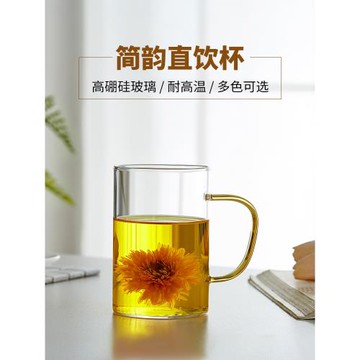 美斯尼玻璃杯家用簡約水杯女透明牛奶果汁杯客廳帶把泡茶杯子套裝
