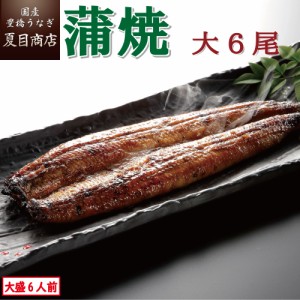 うなぎ 国産 蒲焼き 大155-180g×6尾 大盛6人前 豊橋うなぎ ウナギ 鰻 送料無料 お歳暮 クリスマス 誕生日 プレゼント 食べ物 真空パック