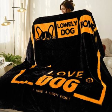 拉舍爾絨毛毯被子雙層加厚保暖冬天被子四季通用學生宿舍床墊毯子