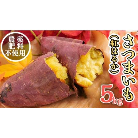 ふるさと納税 さつまいも 紅はるか ） 5kg  土つき  オーガニック 無農薬 高糖度 肥料不使用 自然栽培 スイー.. 茨城県つくばみらい市