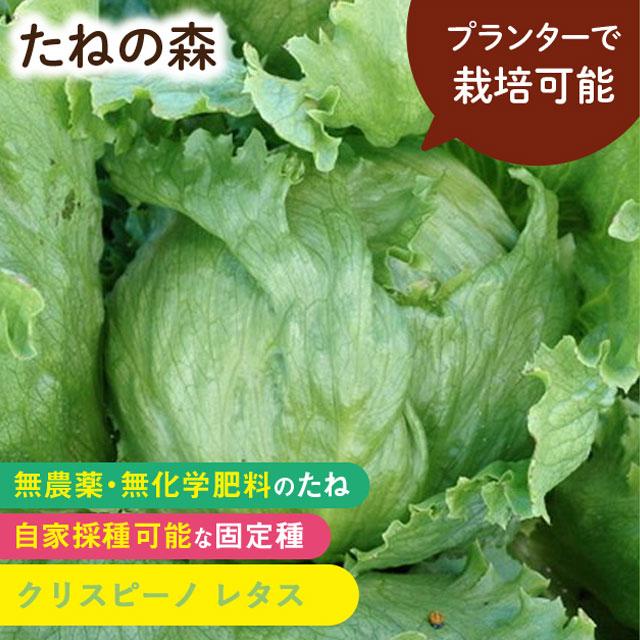 たねの森 クリスピーノ レタス 野菜 種 無農薬 無化学肥料 固定種 自家採種 プランター栽培 LINEショッピング