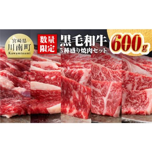 ふるさと納税 宮崎県 川南町 黒毛和牛5種盛り 焼肉セット（数量限定）600g 【 肉 牛肉 国産 宮崎県産 黒毛和牛 ミヤチク BBQ バーベキュー …