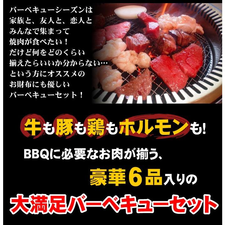 焼肉セット 厳選 BBQ バーベキュー セット 2.1kg 黒毛和牛 国産豚肉 国産若鶏 豚ホルモン ウィンナー 合計6品入り メガ盛り