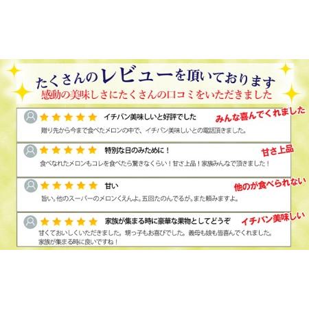 ふるさと納税 クラウンメロン 中玉（1.3kg前後）1玉入り 静岡県浜松市