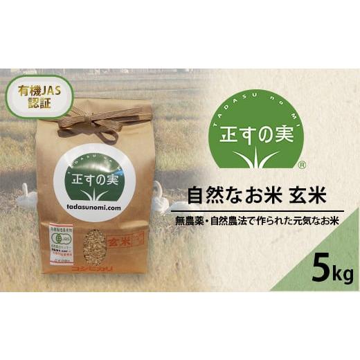 ふるさと納税 新潟県 胎内市 49-02自然なお米（玄米）5kg