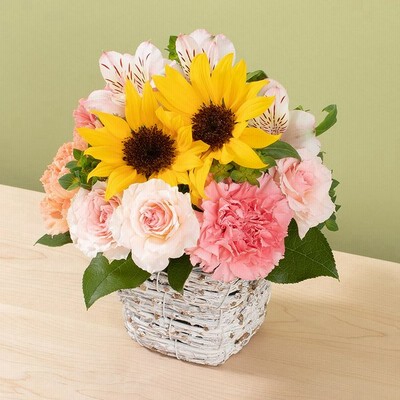 7月 旬 花の通販 1 416件の検索結果 Lineショッピング