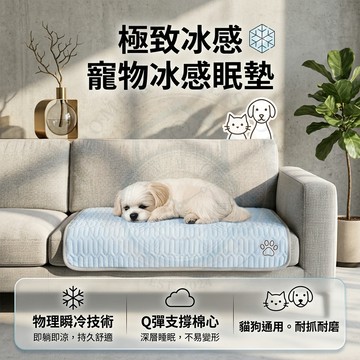 🔥 台灣出貨 ✨ 夏季涼感寵物墊 冰絲降溫貓墊 狗狗涼蓆地墊 冰絲透氣防暑水洗 貓咪防滑涼墊 夏季消暑寵物用品 ❄️