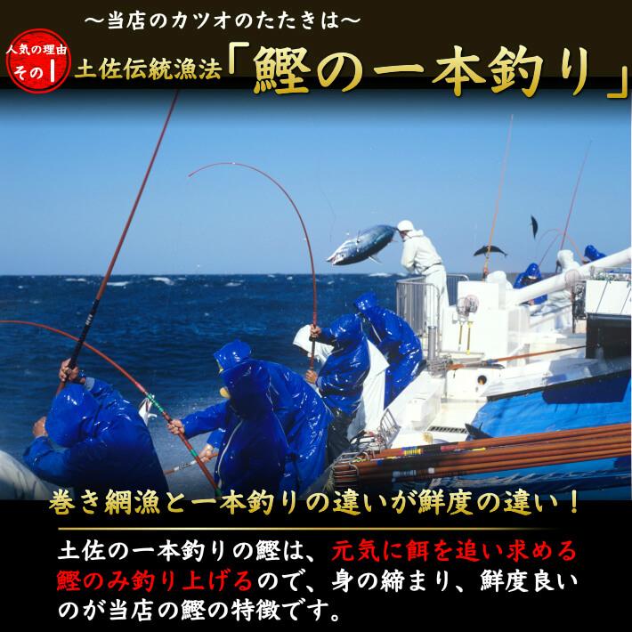 戻り鰹 かつおのたたきと刺身セット  各1節 約5人前 鰹の食べ比べ 藁焼き 誕生日 ギフト 送料無料