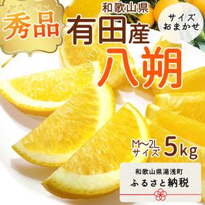 ふるさと納税 DI6029n_和歌山県有田産 八朔 5kg 秀品 (M〜2Lサイズおまかせ) 和歌山県湯浅町