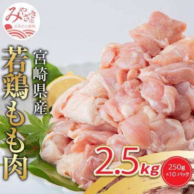 ふるさと納税 宮崎市 宮崎県産若鶏 もも肉 2.5kg(250g×10パック)※小分け・カット済・真空冷凍