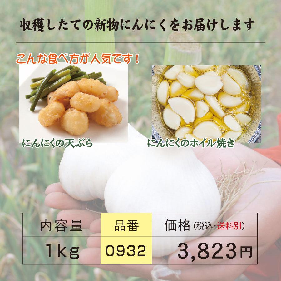 青森県産にんにくLサイズ 1kg 15玉前後 自然共生 ガリプロ 食品 野菜 香味野菜