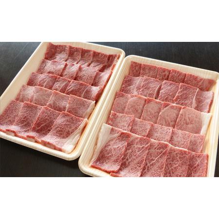 ふるさと納税 牛肉 飛騨牛 焼き肉 セット 赤身 モモ 又は カタ 1ｋｇ 黒毛和牛 Ａ5 美味しい お肉 牛 肉 和牛 焼肉 BBQ バーベキュー  【岐阜.. 岐阜県揖斐川町