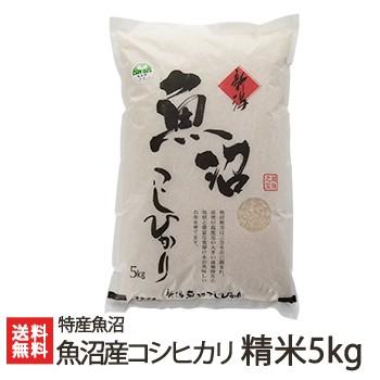 魚沼産 コシヒカリ 精米 5kg 特産魚沼 送料無料