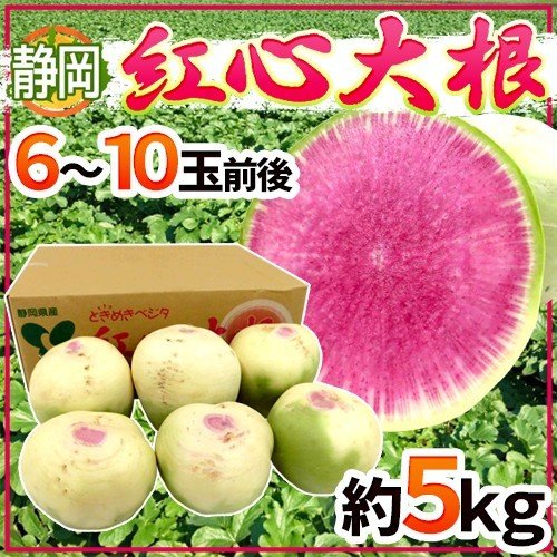 静岡県 ”紅心大根” 6〜10玉前後 約5kg 紅芯大根 送料無料