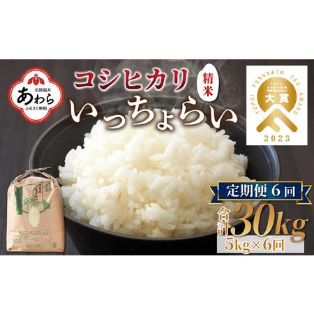 ふるさと納税 《定期便6回》いっちょらい 精米 5kg（計30kg）／ 福井県産 ブランド米 コシヒカリ ご飯 白米 新鮮 大賞 受賞 新米.. 福井県あわら市