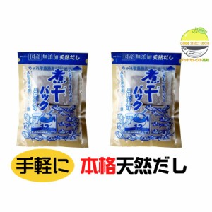 森田鰹節 煮干パック 10g×12P×2袋