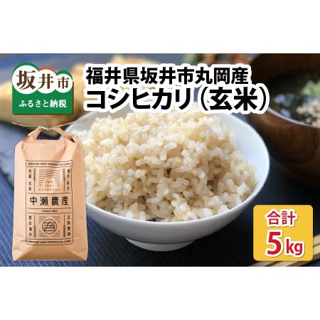 ふるさと納税 福井県坂井市丸岡町産 コシヒカリ 計5kg（玄米）   福井県坂井市