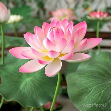 【【24小時-臺中出貨】】帶桿仿真荷花荷葉蓮花舞蹈道具水池舞造景裝飾假仿真花綠植