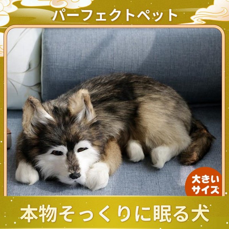 犬 ぬいぐるみ パーフェクトペット リアル シベリアンハスキー イヌ 通販 Lineポイント最大0 5 Get Lineショッピング