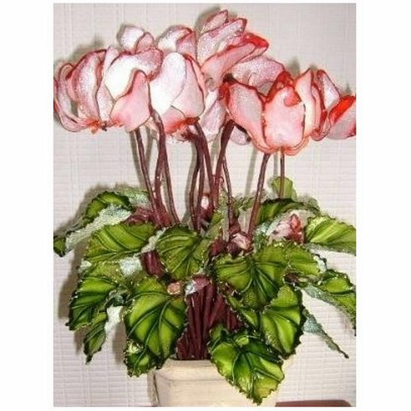 アメリカンフラワーシクラメン鉢植え 通販 Lineポイント最大0 5 Get Lineショッピング