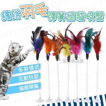 繽紛羽毛彈簧逗貓吸盤 逗貓吸盤 貓玩具 羽毛逗貓棒 鈴鐺逗貓棒 羽毛逗貓吸盤 逗貓棒