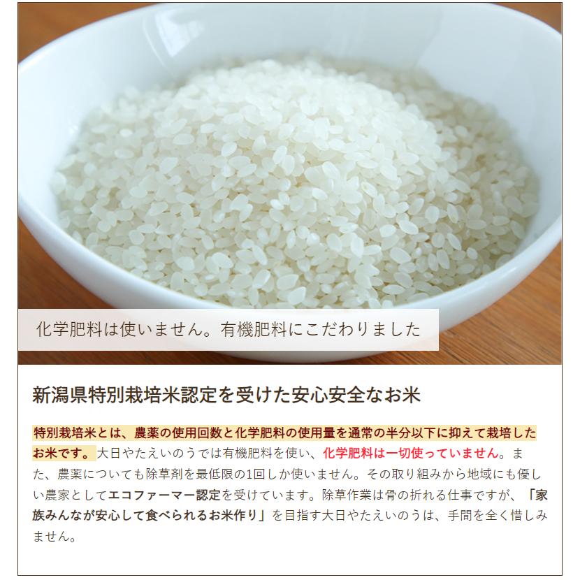 特別栽培米（減農薬・減化学肥料）新潟産コシヒカリ 精米 10kg（5kg×2） 大日 やたえいのう 送料無料