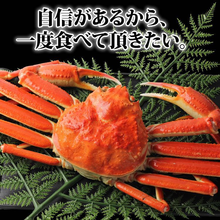 お歳暮 御歳暮 ギフト 2023 カニ かに 蟹 ずわいがに 姿 3kg (6尾入) 海鮮 ボイル 蟹 足 脚 グルメ ギフト 送料無料