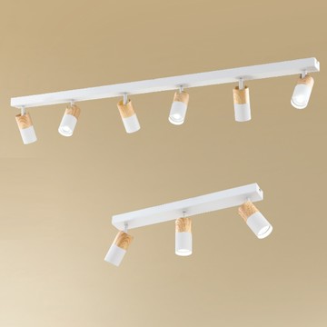 投射燈造型吸頂燈10-74401、74402、74403、74404