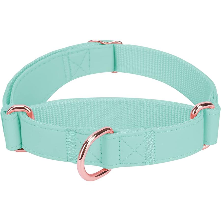 Stylish store martingale collars