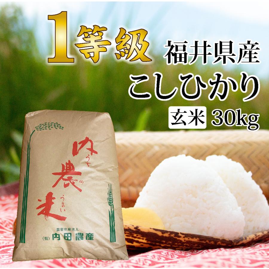 新米）令和3年度福井県産 コシヒカリ 玄米 ３０キロ - 食品