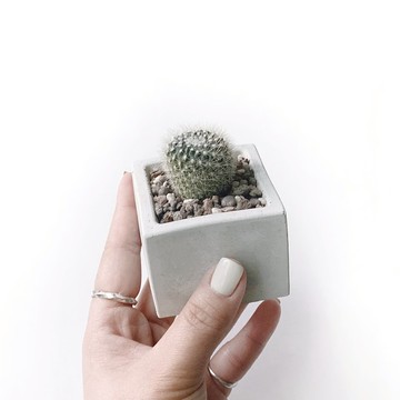 (現貨) 純灰系列 | 雪晃 小方形純灰水泥仙人掌植栽