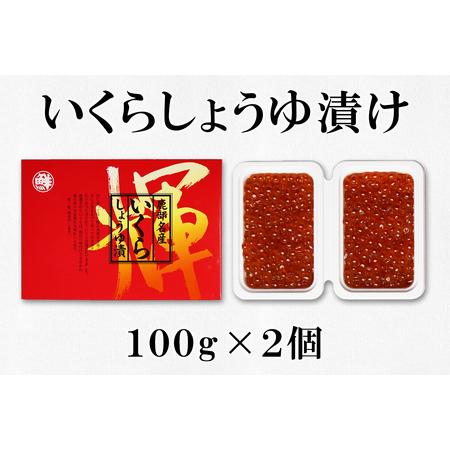 ふるさと納税 大粒ほたて貝柱250g×1 いくらしょうゆ漬け120g×2 噴火湾産たらこ120g×2 丸鮮道場水産 小分け 食べ切り 食べきり 北.. 北海道鹿部町