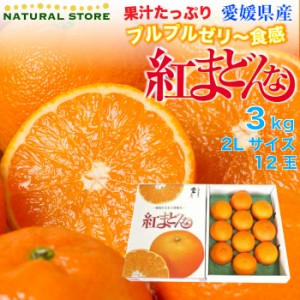 [予約  12月1日から12月10日のご納品] 紅まどんな 3kg 2L サイズ 愛媛県産 まどんな 最 化粧箱 御年賀 御年賀