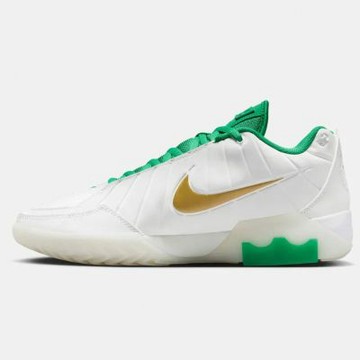 NIKE LEBRON WITNESS IX EP 男鞋 籃球鞋 運動鞋 實戰 包覆 緩震 白綠-HQ8035101