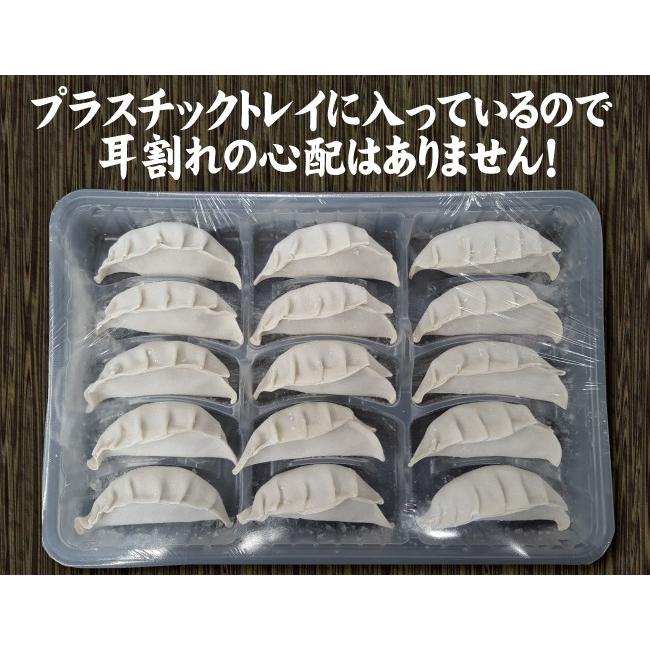 ヘルシー鯵餃子（あじぎょん）４５個　送料無料　冷凍クール便