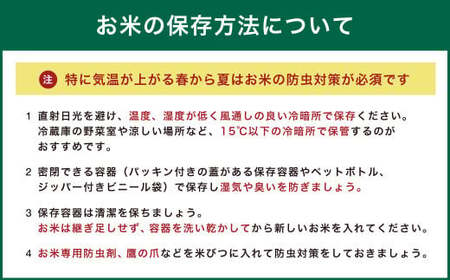 田園交響楽 ゆめぴりか 10kg お米 精米 白米 北海道 定期便