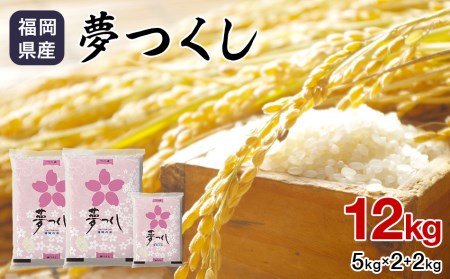 令和5年産 福岡県産　夢つくし　12kg