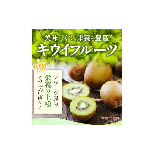 ふるさと納税 和歌山県 紀の川市 キウイ 約3.5kg 岸武青果株式会社《2024年1月中旬-4月中旬頃より順次出荷》 和歌山県 紀の川市 キウイ キウイフルーツ